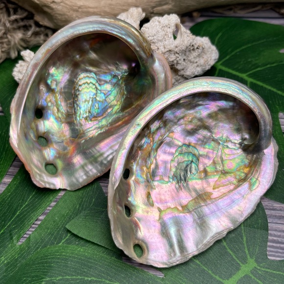 2 for 1 Special Seashells Lot 2 Interior Polished Abalone Shells Bundle Coastal - Picture 3 of 14